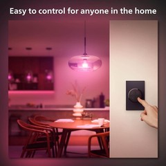Hue Wall Tap Dial Light Switch, Portable, Black – 1 Pack – Requires H…