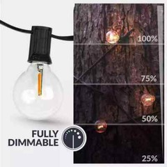 Newhouse Lighting LED Outdoor 25 ft. Plug-In Globe Bulb String Light 27-Sockets