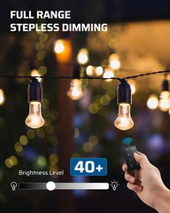 DEWENWILS Outdoor Dimmer for String Lights, 125V Dimmer Plug with 100FT Remote