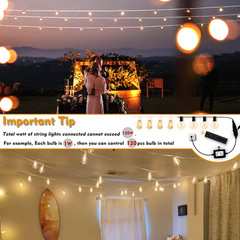 120W(Max) Remote Dimmer Timer Function Plug in for All Outdoor String Lights, Pa