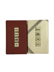 Vantage 2K21, 4-Button Engraved Keypad Painted – EACH – PreOwned