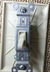 Pass & Seymour Light Almond Single Pole ON/OFF Framed Toggle Switch 15A 660-LAG