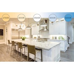 HALO Home in-Wall Accessory Dimmer for use with HALO Home Smart Lights, White