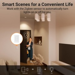 Sonoff Zigbee Smart Light Switch Required Sonoff Zigbee Hub Interruptor