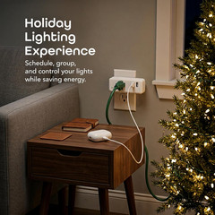 Switch + Charge Multi Port Smart Wi-Fi Plug with 2 USB Ports, Energy Saving Outl