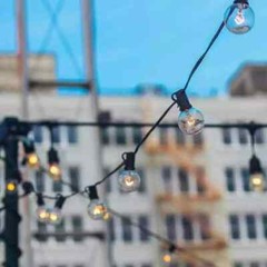 Newhouse Lighting LED Outdoor 25 ft. Plug-In Globe Bulb String Light 27-Sockets