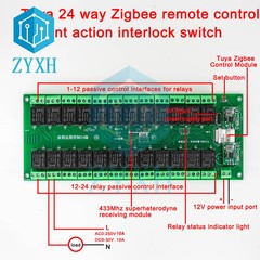 Tuya 24 Channel Smart WiFi/Zigbee Wireless Relay Switch Module APP RF Remote Con