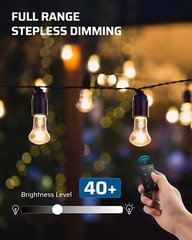 DEWENWILS Outdoor Dimmer for String Lights, 125V, 100FT Remote Control Range,