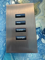 Lutron HQWA-DEMO-QZ HQWA-W4BSN Architectural Non-Insert Wired seeTouch 4 Button
