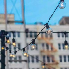 Newhouse Lighting LED Outdoor 25 ft. Plug-In Globe Bulb String Light 27-Sockets