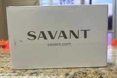 Savant WP3-SW0002-00 Echo Auxiliary Control (SNOW WHITE)